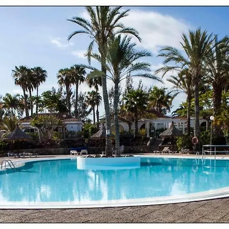 Lyra Is A New Experience, Beauty And Silence * Playa del Ingles (Gran Canaria)